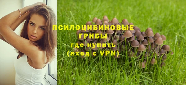 амфетамин Арсеньев