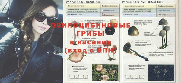 амфетамин Арсеньев